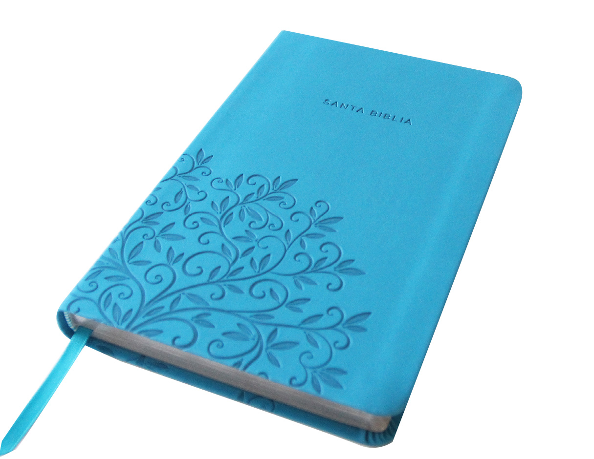 Foto 2 | Biblia Reina Valera 1960 Letra Grande. Símil Piel Azul, Tamaño Manual