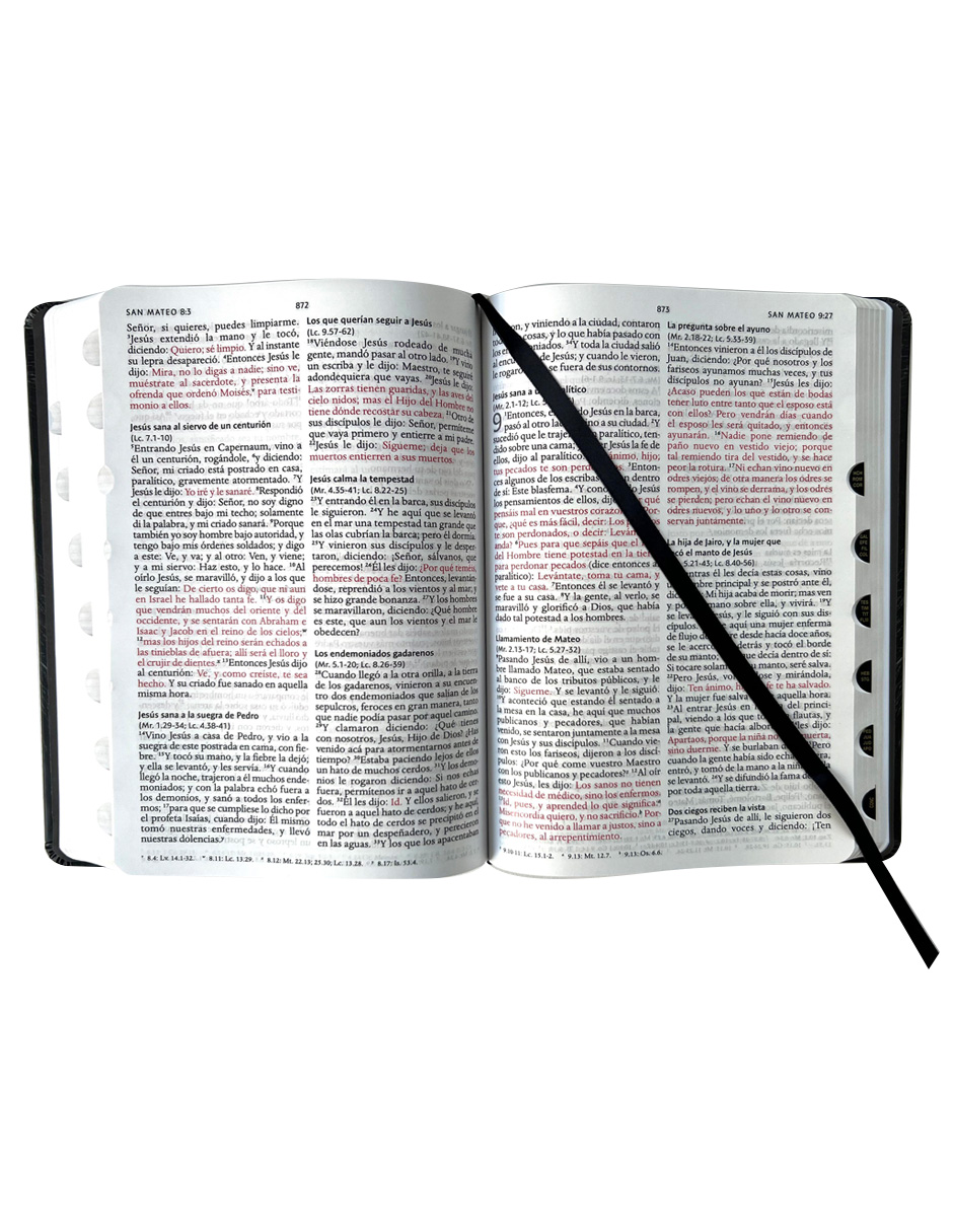 Foto 5 pulgar | 📖🦁 Biblia Rvr 1960 Letra Grande | Tapa Dura Con Índice | León De Judá 🇮🇱