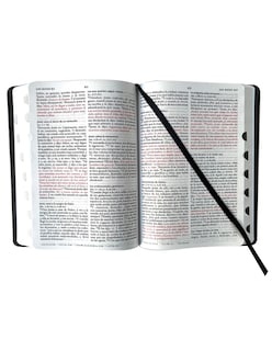 Foto 4 | 📖🦁 Biblia Rvr 1960 Letra Grande | Tapa Dura Con Índice | León De Judá 🇮🇱