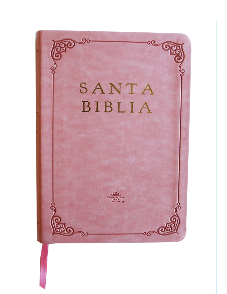 Santa Biblia Penguin Rvr 1960