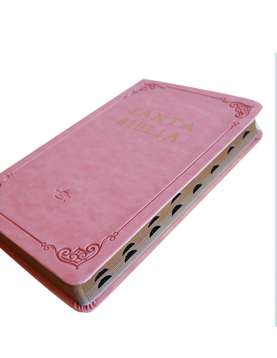Foto 4 pulgar | Santa Biblia Penguin Rvr 1960