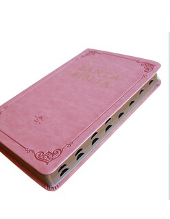 Foto 3 | Santa Biblia Penguin Rvr 1960