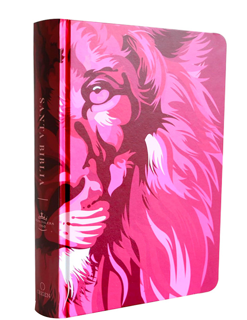 Santa Biblia Penguin Rvr 1960