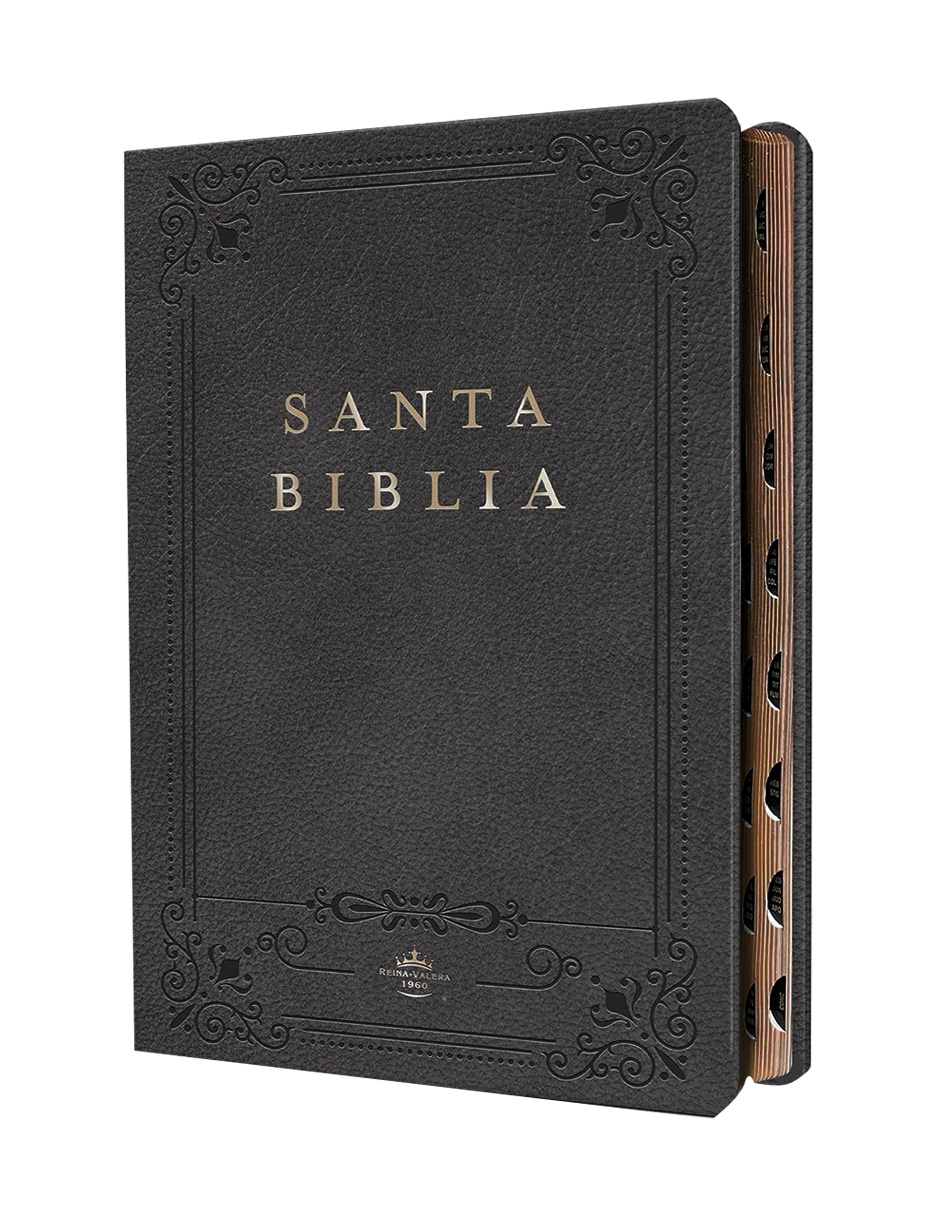 Santa Biblia Penguin Rvr 1960