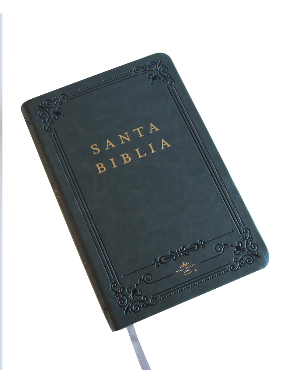 Foto 5 pulgar | Santa Biblia Penguin Rvr 1960