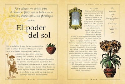 Foto 3 | El Libro De Los Hechizos De Nicola De Pulford. Librero Tapa Dura