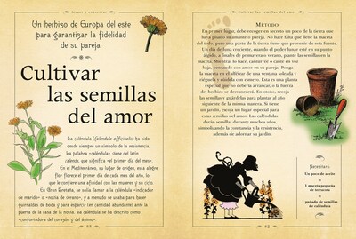 Foto 4 | El Libro De Los Hechizos De Nicola De Pulford. Librero Tapa Dura