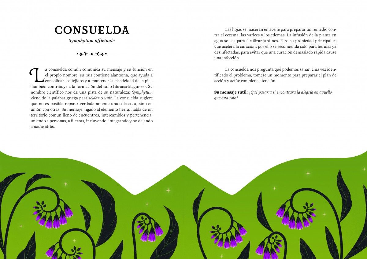 Foto 3 pulgar | Wicca Botánica: Guía Para La Bruja Verde De Cecilia Lattari Librero Tapa Dura