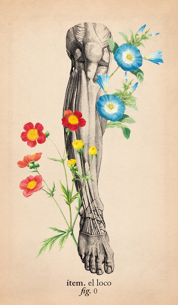 Foto 3 pulgar | El Tarot De Anatomía Y Botánica Antigua (libro + Cartas) De Claire Goodchild Librero