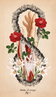 Foto 3 | El Tarot De Anatomía Y Botánica Antigua (libro + Cartas) De Claire Goodchild Librero