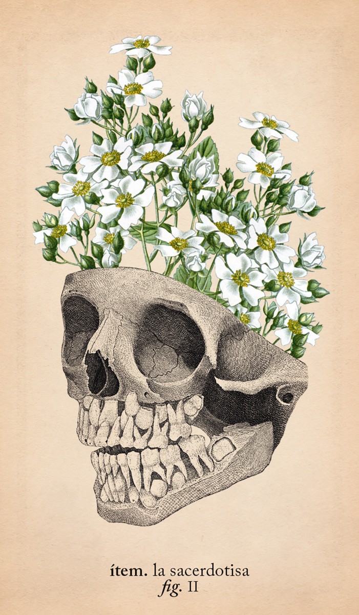 Foto 5 pulgar | El Tarot De Anatomía Y Botánica Antigua (libro + Cartas) De Claire Goodchild Librero