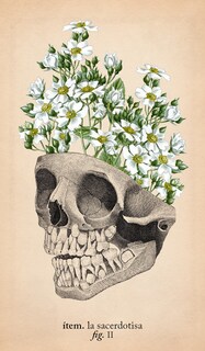 Foto 4 | El Tarot De Anatomía Y Botánica Antigua (libro + Cartas) De Claire Goodchild Librero