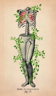 Foto 5 | El Tarot De Anatomía Y Botánica Antigua (libro + Cartas) De Claire Goodchild Librero