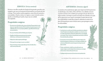 Foto 3 | La Bruja Holistica: Conecte Con Su Poder Personal Para Cuidarse Mágicamente De Shawn Robbins Tapa Dura