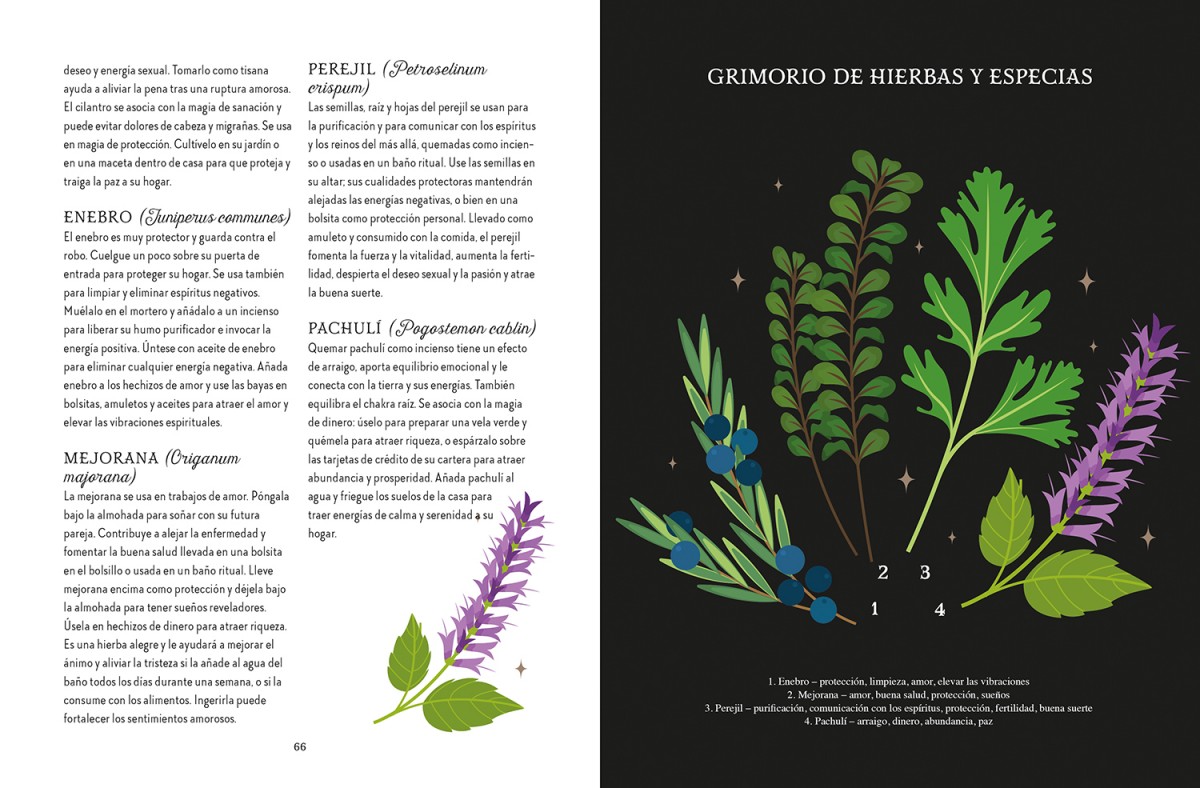 Foto 5 pulgar | Magia De La Tierra. Guía De La Bruja Del Bosque De Lindsay Squire Librero Tapa Blanda