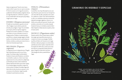 Foto 4 | Magia De La Tierra. Guía De La Bruja Del Bosque De Lindsay Squire Librero Tapa Blanda
