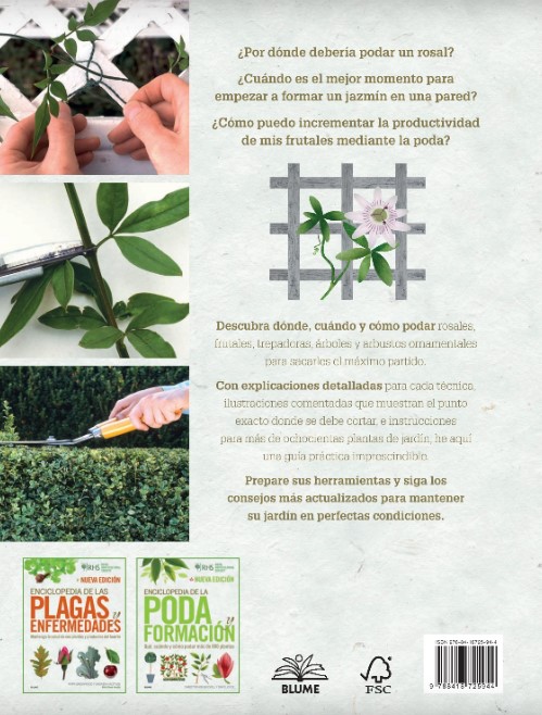 Foto 4 | Libro Enciclopedia De La Poda Y Formacion (2022) Brickell Royal Blume Pasta Dura