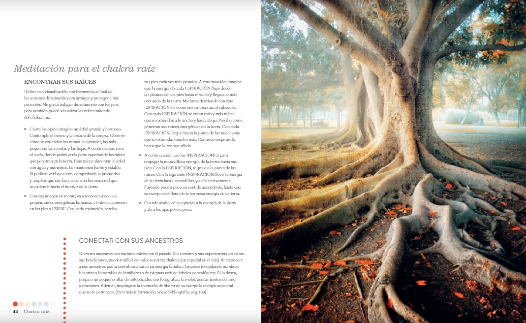 Foto 3 | Libro Proyecto Chakra Georgia Coleridge Blume Pasta Dura