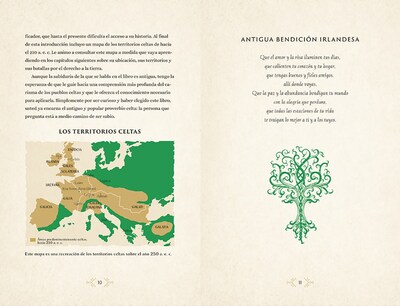 Foto 3 | Libro Misticismo Celta Tracie Long Librero Pasta Dura