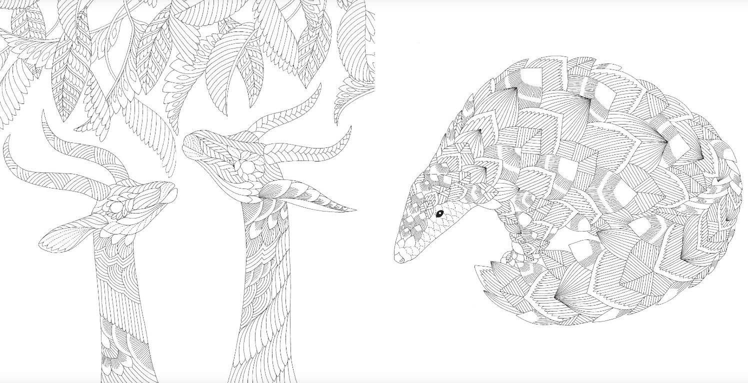 Foto 3 | Bestias Brillantes Millie Marotta Blume Tapa Blanda