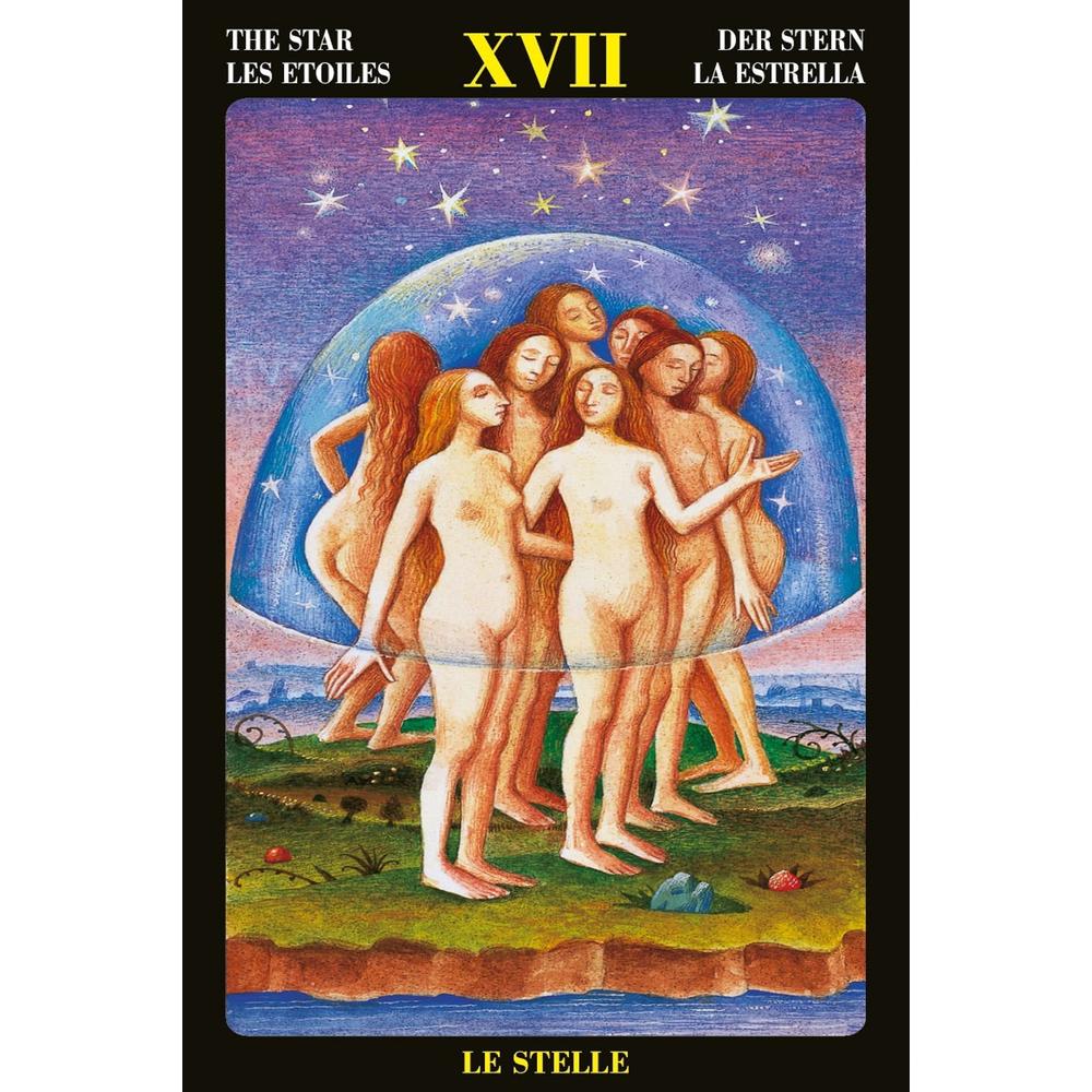 Foto 4 pulgar | El Tarot De El Bosco