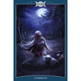 Foto 4 | Tarot Del Libro De Las Sombras Vol 1