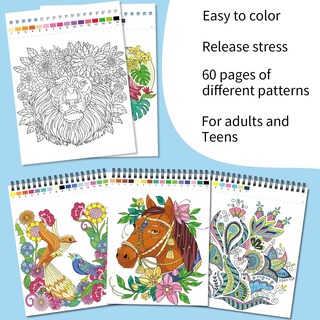 Foto 6 | Libros Para Colorear Kalysky Relaxation Adult Colorea Por Números - Venta Internacional.