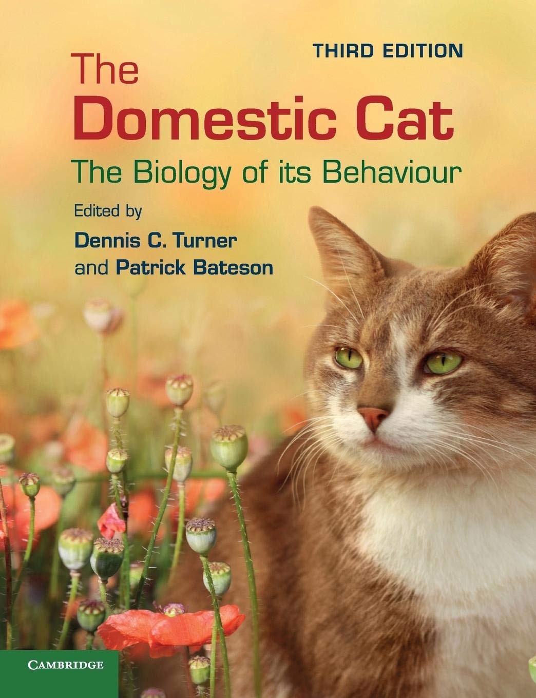 Foto 2 pulgar | El Gato Doméstico: La Biología De Su Comportamiento - Venta Internacional.
