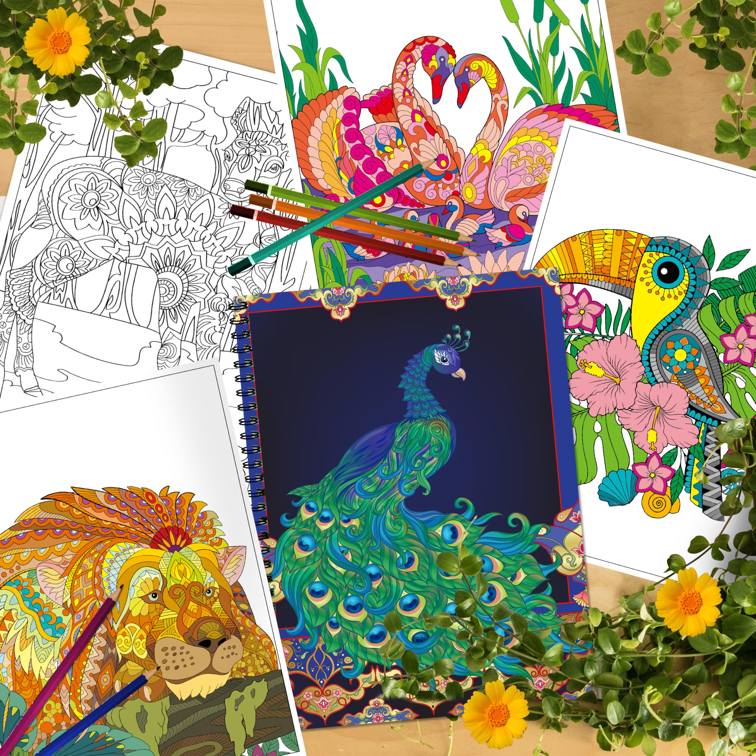 Foto 5 pulgar | Set De Libros Para Colorear Kalysky Adult Animals Flowers 3 Books - Venta Internacional.