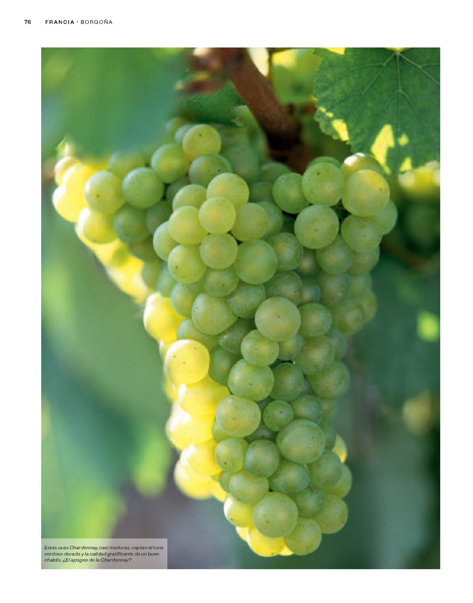 Foto 3 pulgar | Atlas Mundial Del Vino De Hugh Johnson/ Jancis Robinson Blume Tapa Dura