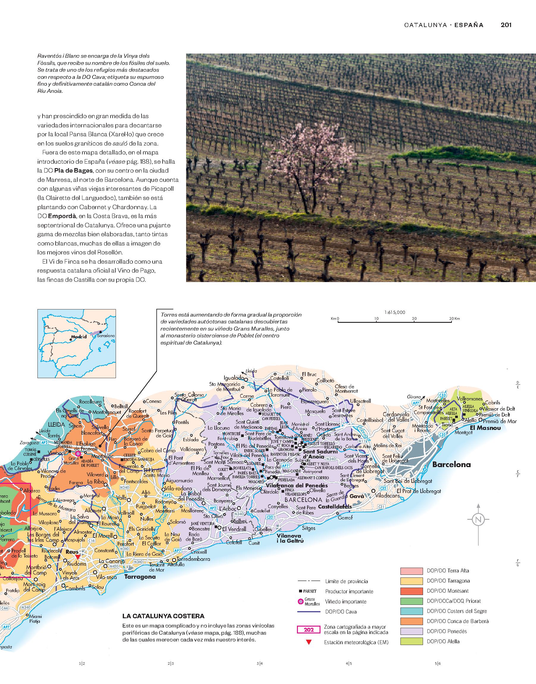 Foto 6 pulgar | Atlas Mundial Del Vino De Hugh Johnson/ Jancis Robinson Blume Tapa Dura