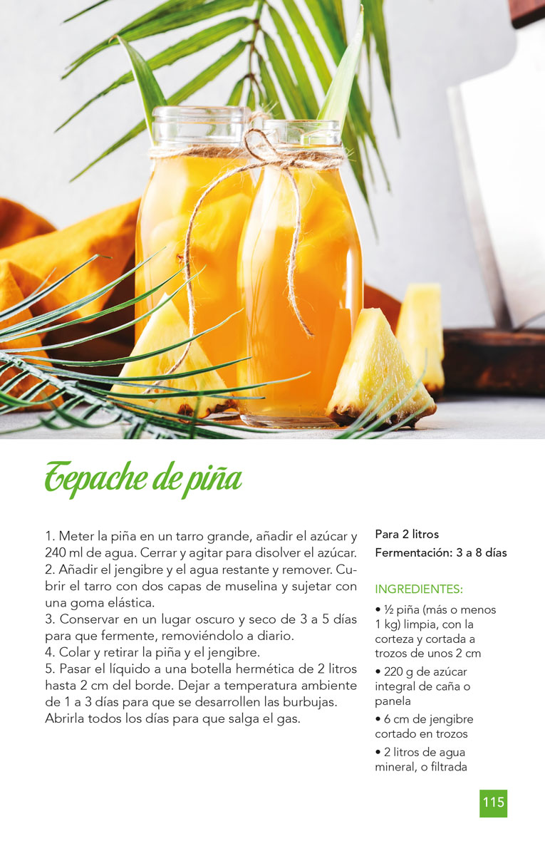 Foto 2 | Guia Facil De Fermentacion Laura Torres Redbook Tapa Blanda