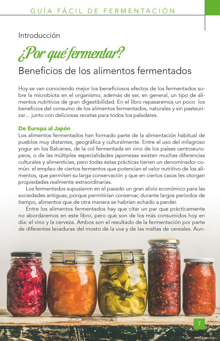 Foto 5 pulgar | Guia Facil De Fermentacion Laura Torres Redbook Tapa Blanda