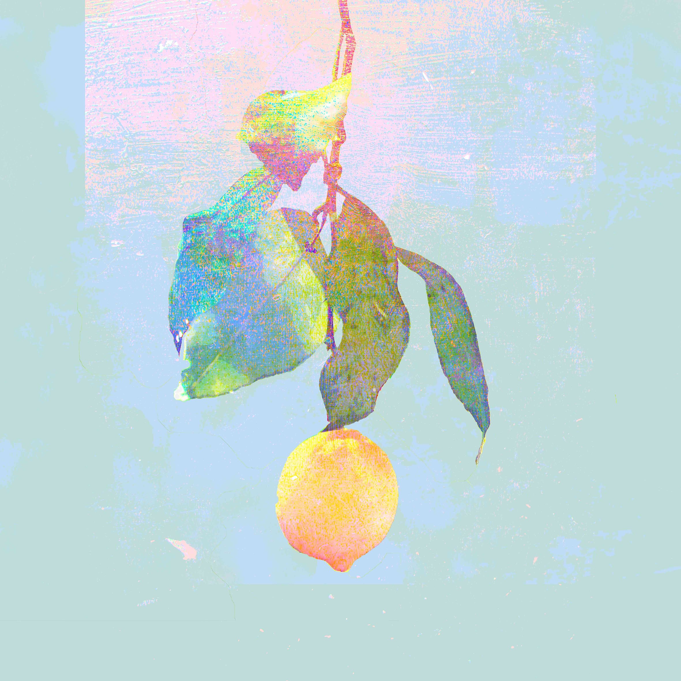 Foto 2 pulgar | Fruta Limón - Venta Internacional.