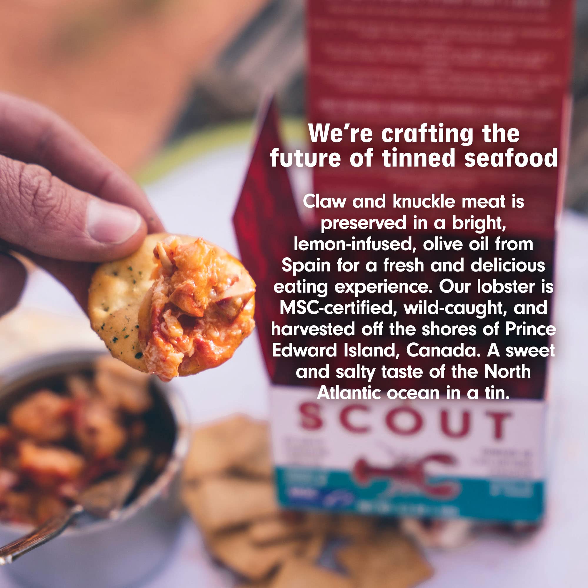 Foto 5 pulgar | Langosta Canadiense Meals Scout Atlantic 94 6 Ml Sin Gluten - Venta Internacional.