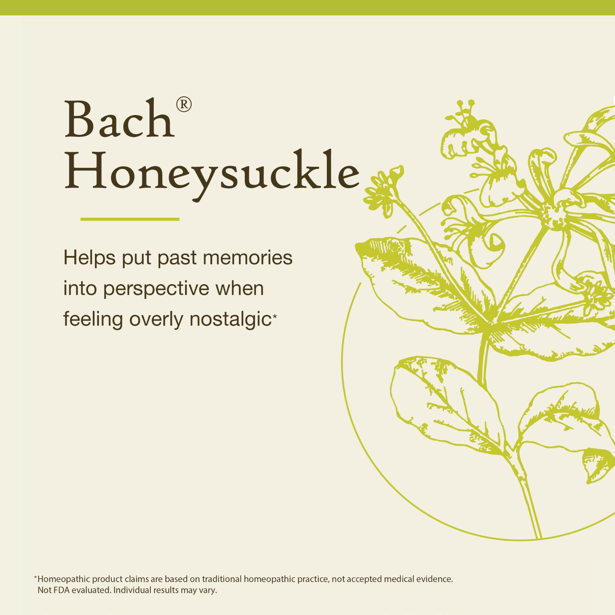 Foto 4 pulgar | Flor Essence Bach Original Madreselva  20 Ml  Vegana  Sin Gluten - Venta Internacional.