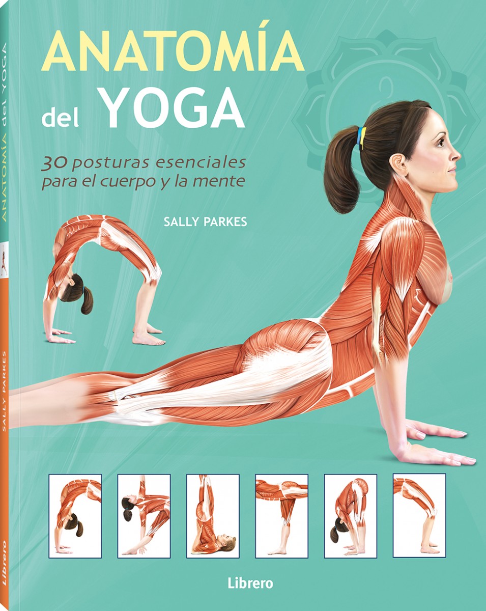 Anatomía Del Yoga De Sally Parkes Librero Pasta Blanda