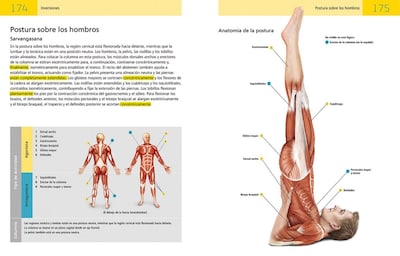 Foto 2 | Anatomía Del Yoga De Sally Parkes Librero Pasta Blanda
