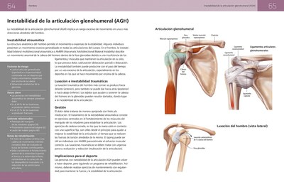 Foto 2 | Anatomia Del Entrenamiento De Elite Stephen Erle Librero Tapa Blanda