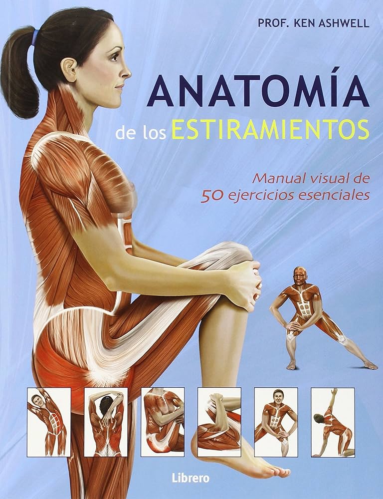 Foto 2 pulgar | Anatomia De Los Estiramientos Ken Ashwell Librero Pasta Dura
