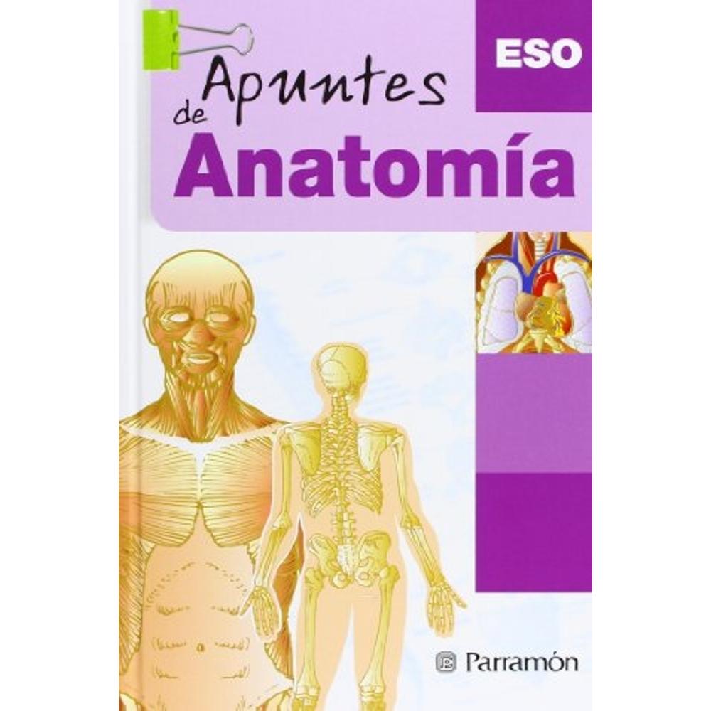 Apuntes De Anatomía