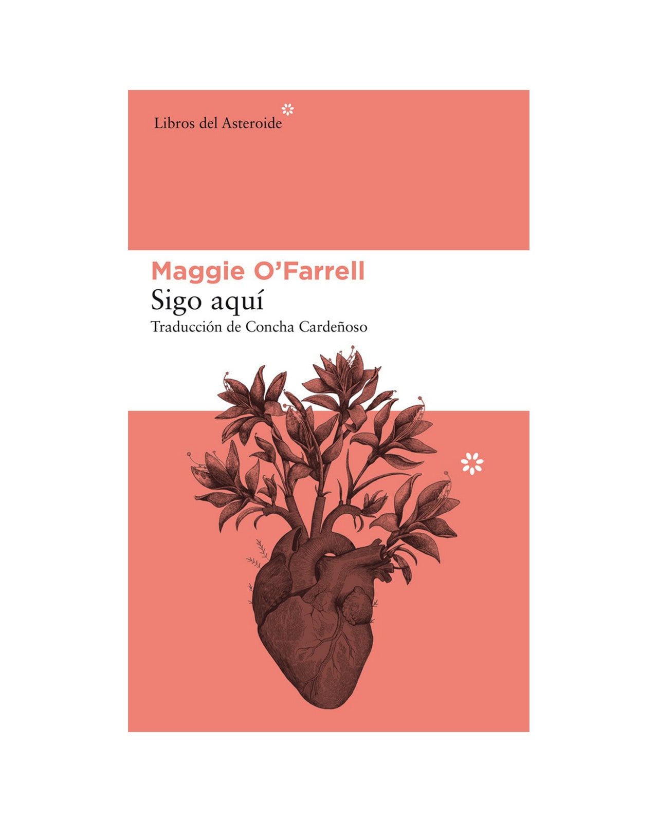 Sigo Aquí $580