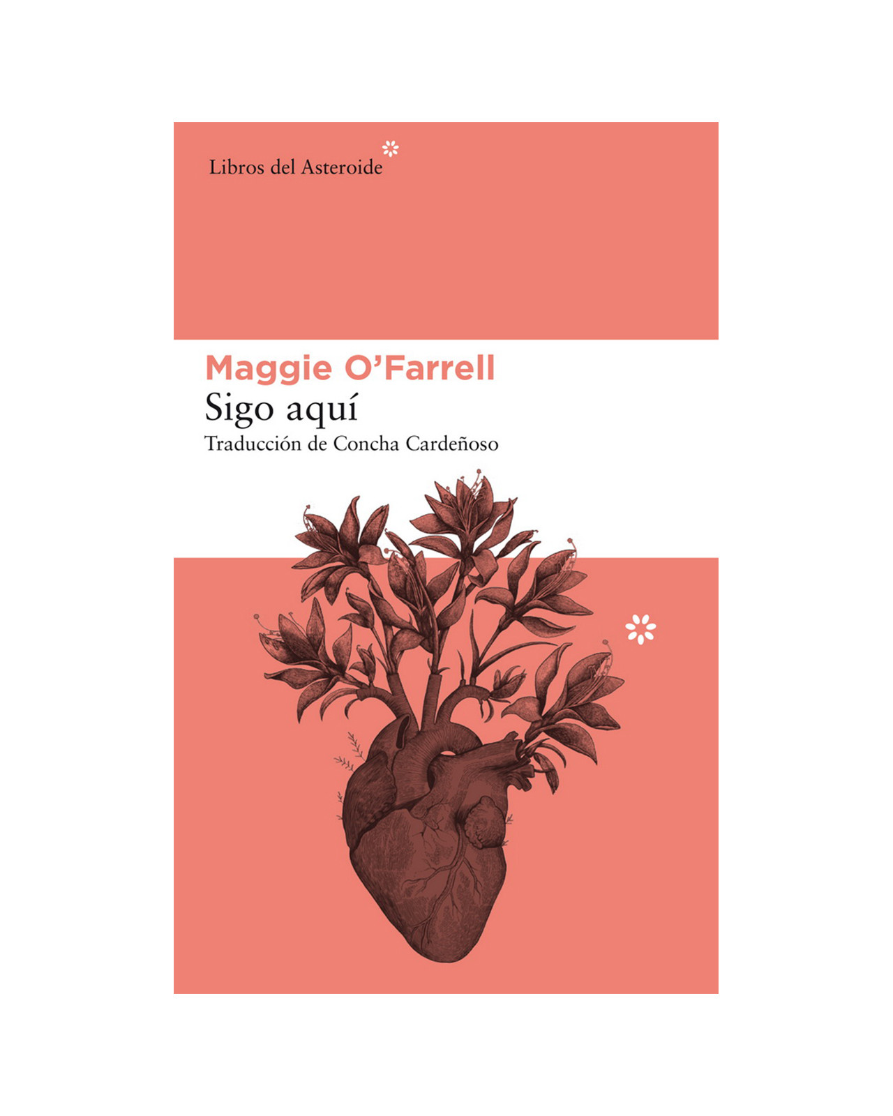 Foto 1 | Sigo Aquí
