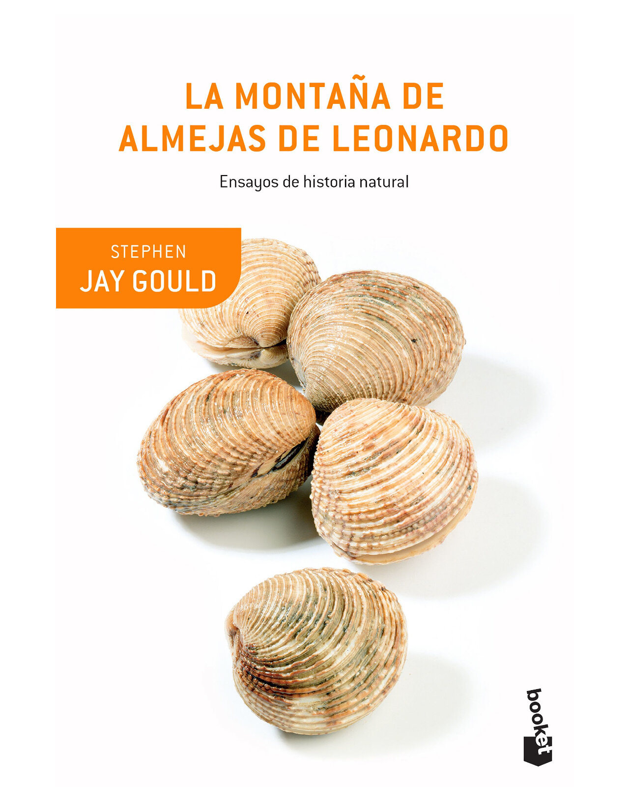 La Montana De Almejas De Leonardo
