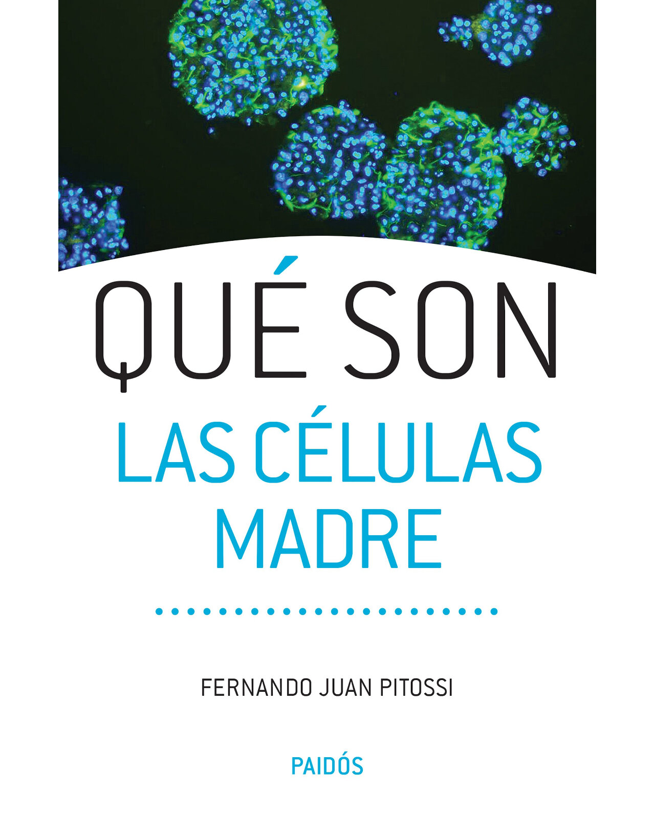 Foto 1 | Qué Son Las Células Madre