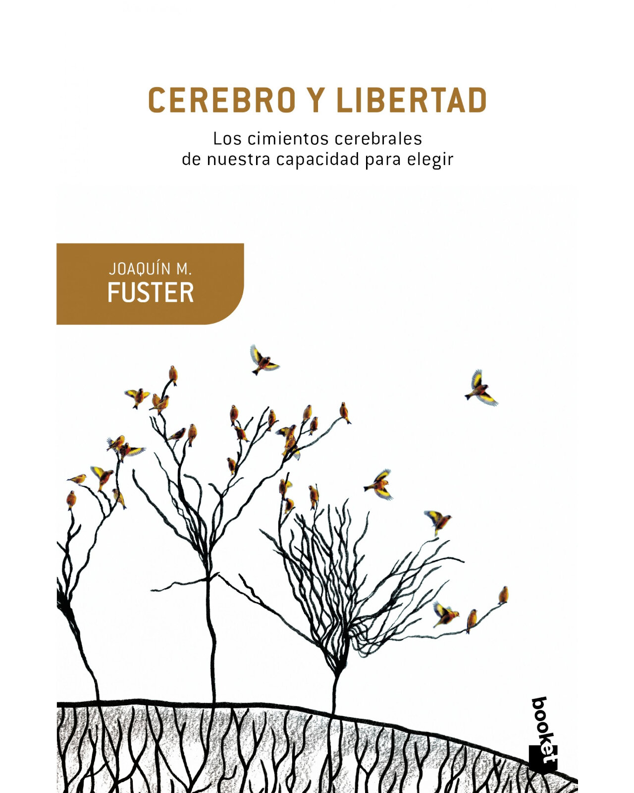 Foto 2 pulgar | Cerebro Y Libertad