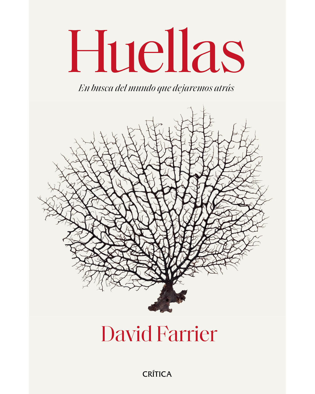 Foto 1 | Huellas