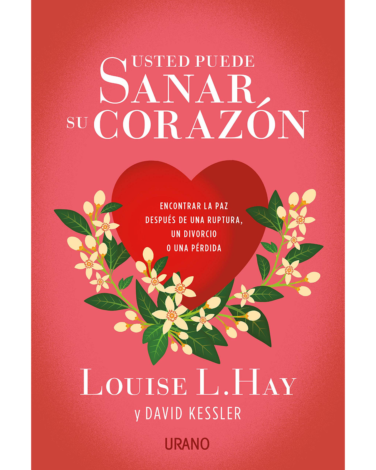 Usted Puede Sanar Su Corazón
