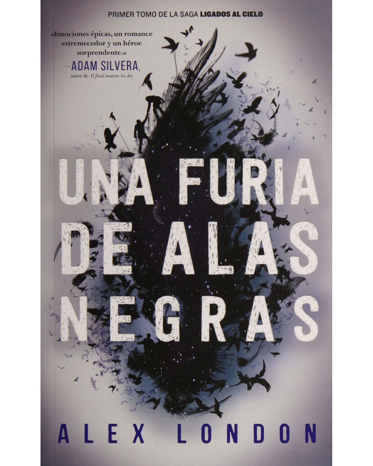 Libro ''una Furia De Alas Negras'' $405