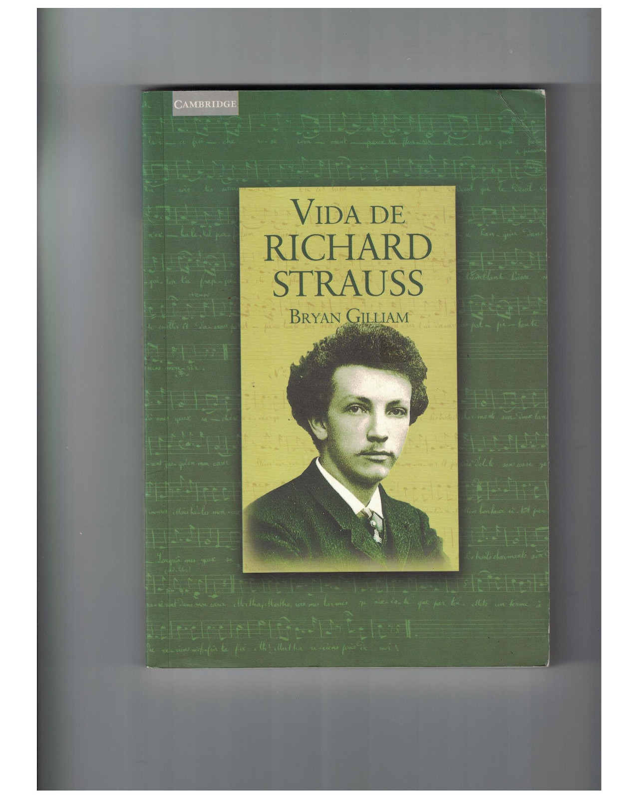 Foto 2 pulgar | Libro ''vida De Strauss''